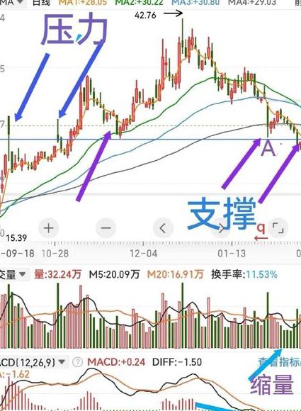 【东北财经大学】金融市场学课程 - 股票分析