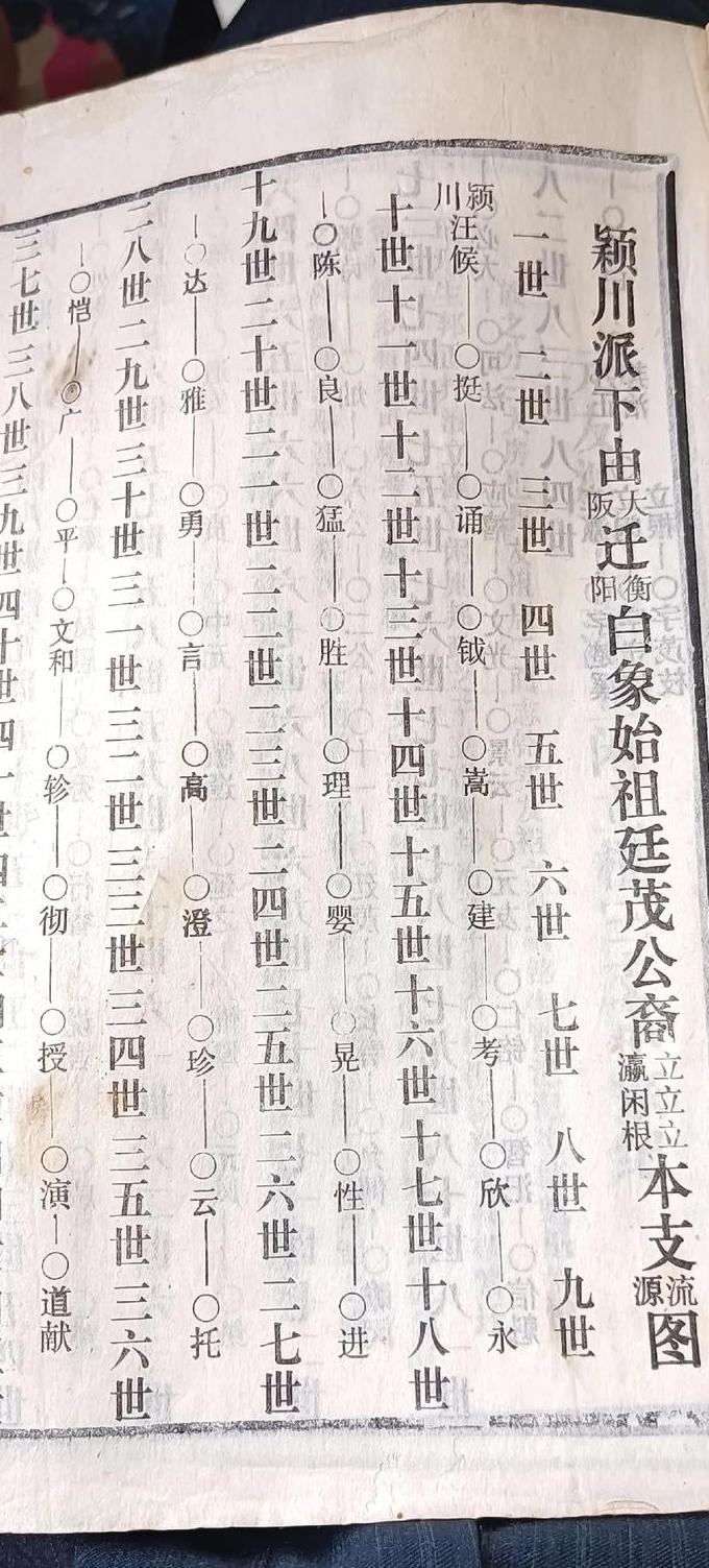 中华姓氏文化大观全集 - 家谱文化