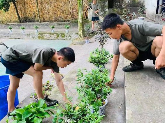 职业规划及素质训练 - 素质训练