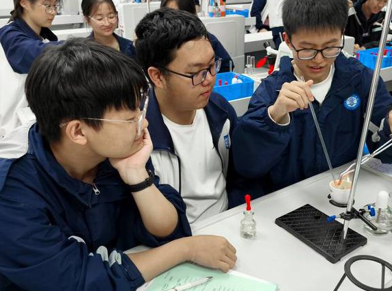浙江大学：博弈论基础mooc - 博弈实验