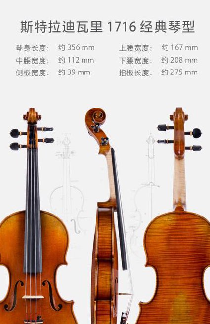 小提琴零基础教程 - 小提琴结构