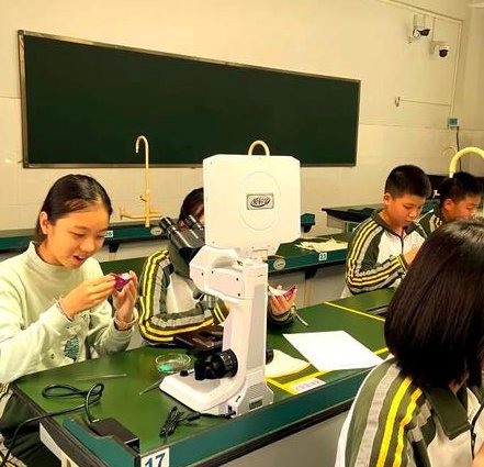 南开大学-普通生物学课程 - 显微镜观察