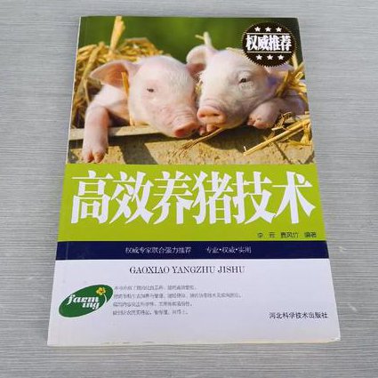养猪与猪病防治课程 - 养猪技术