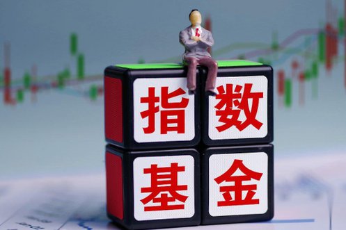 李艳君证券投资学教学视频 - 基金投资