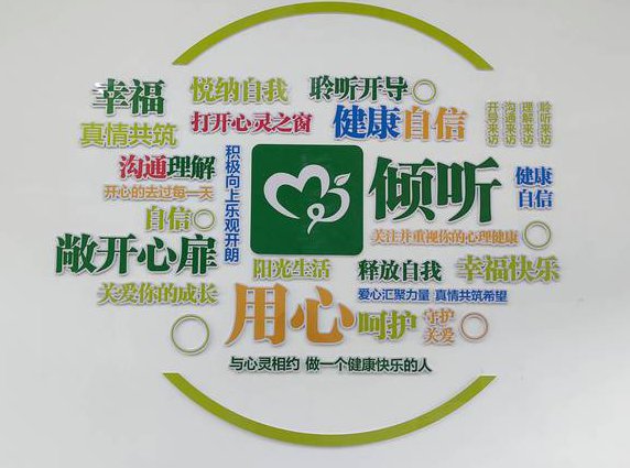 北京师范大学-中学生心理教学视频 - 心理辅导