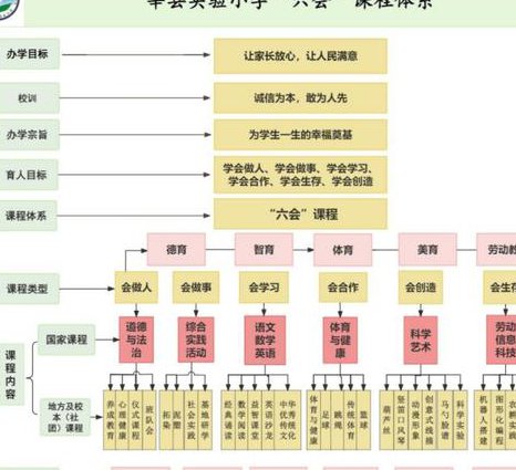 张世祥《初学小提琴100天》视频教学 - 教学体系