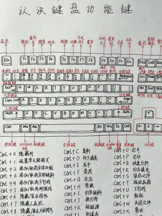 教你玩转c语言-选择高清播放 - 编程基础