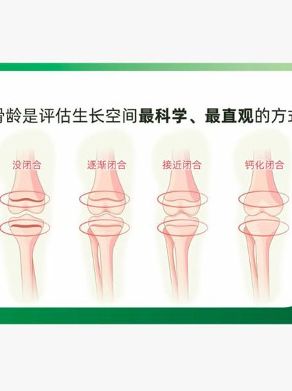人体表面解剖学课程视频 - 骨骼标志 人体表面解剖学课程视频 - 骨骼标志