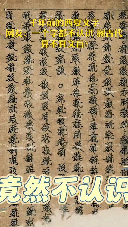 神秘的西夏 - 西夏文字