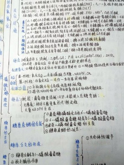 医用基础化学40讲教学视频 - 生物化学
