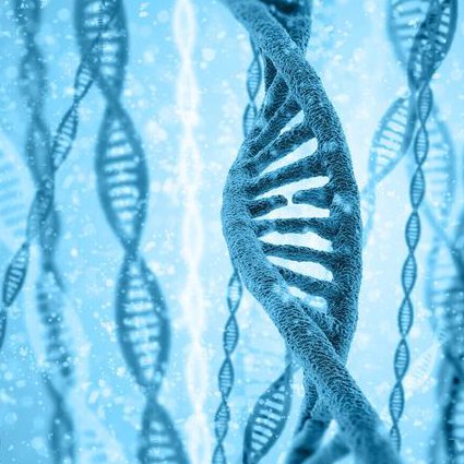 南开大学-普通生物学课程 - DNA结构