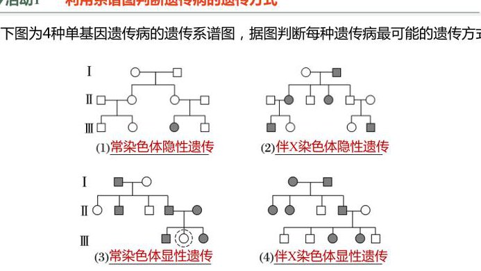 高考生物辅导视频 - 遗传图谱