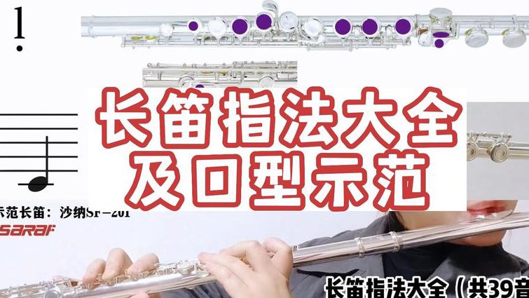 长笛基础入门视频教程 - 长笛指法