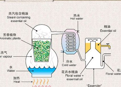 石油加工工程课程 - 炼油工艺