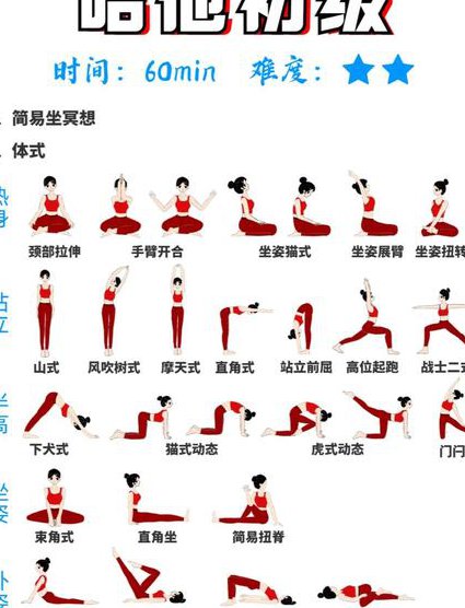 瑜伽入门到高级课程 - 瑜伽基础