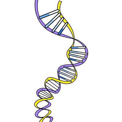 高三生物同步课辅导精讲 - 基因