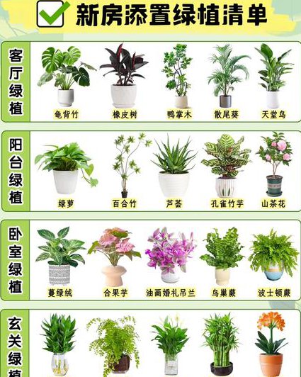 普通生物学课程 - 植物分类