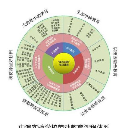 2017心理咨询师培训课程 - 课程结构