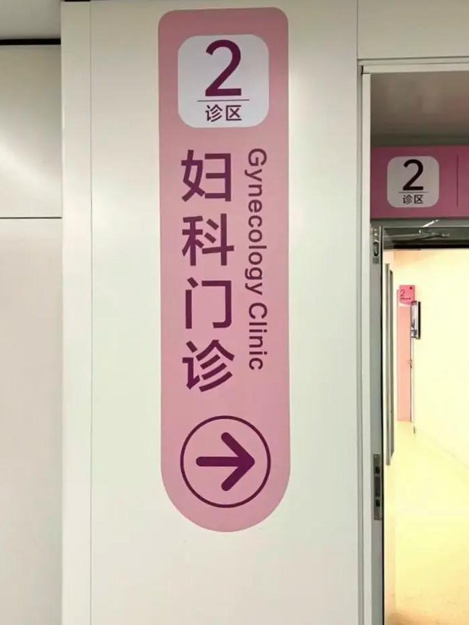 浙江大学-局部解剖学mooc课程 - 妇产科