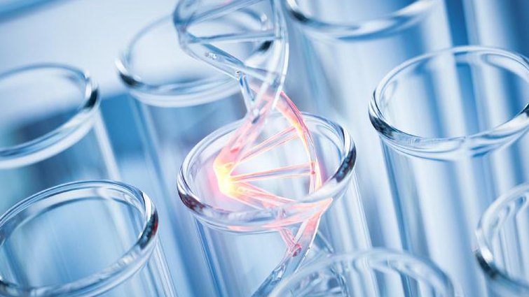 西交大-分子生物学原理与技术课程 - 基因治疗