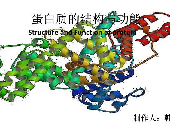 华中科技大学-生物化学与分子生物学 - 蛋白质结构