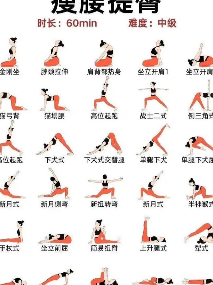 瑜伽教学课程视频 - 瑜伽动作