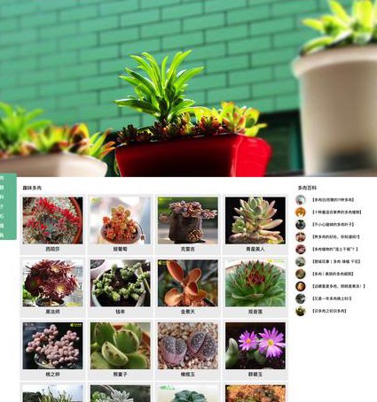 HTML5+CSS3基础视频教程 - 网页布局