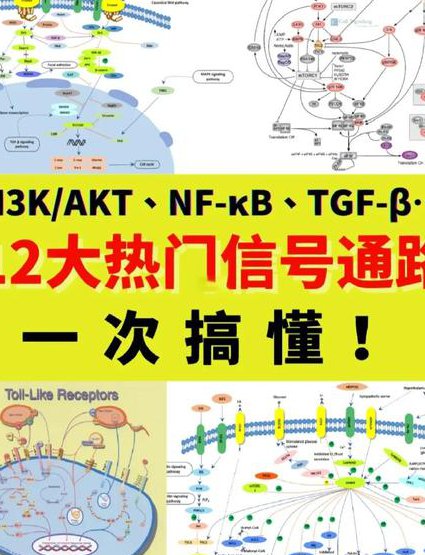 综合工程数学-教学线性代数 - 信号系统