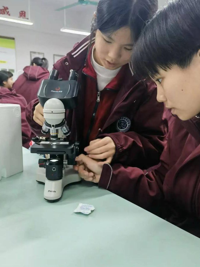 高中生物必修一~必修三课程视频 - 生物实验
