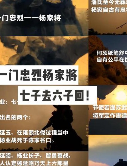 百家讲坛《戏里戏外说历史》全集 - 杨家将