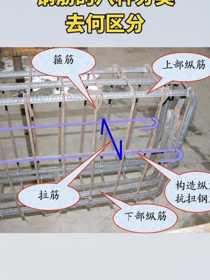22G101平法图集实战 - 钢筋构造