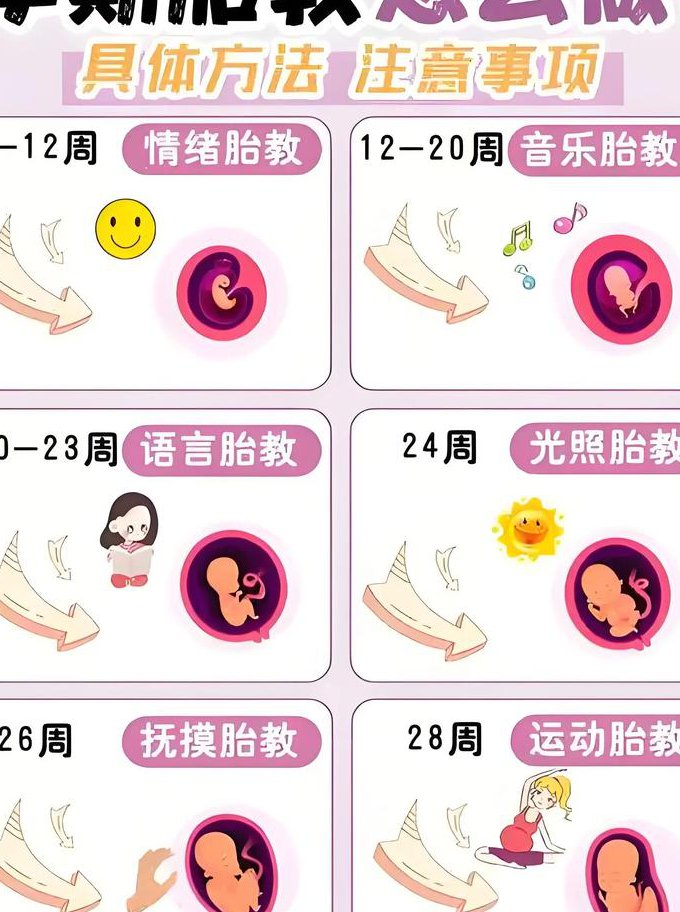 母婴《怀孕手册》视频 - 胎教方法