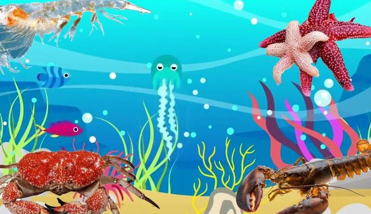 10分钟快速了解生物学 - 生物动画