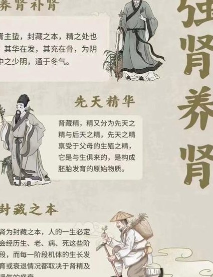 针灸大成教学视频【倪海厦】 - 中医养生