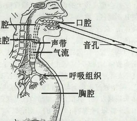 音乐的形式与审美精品课 - 和声原理