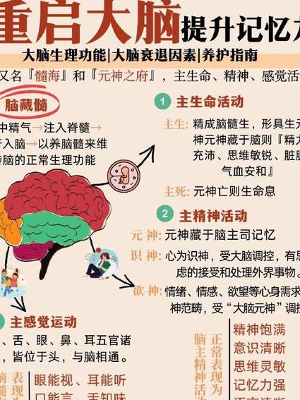 复旦大学神经生物学 - 脑功能
