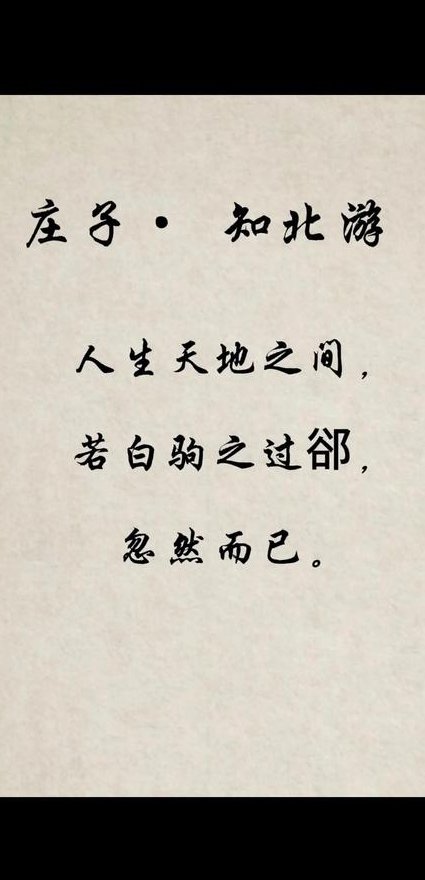 复旦大学公开课：庄子精读 - 庄子哲学