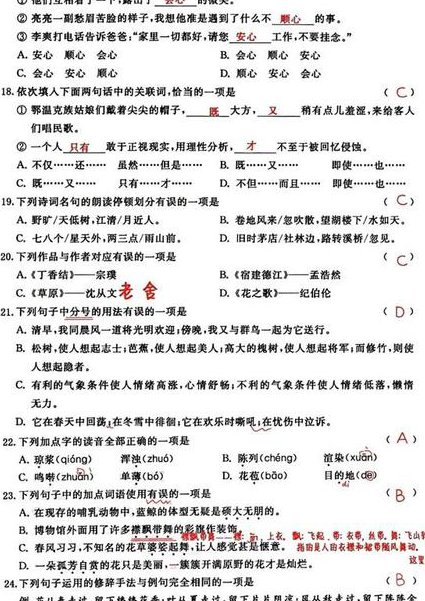 高考语文冲刺复习精讲 - 语文选择题