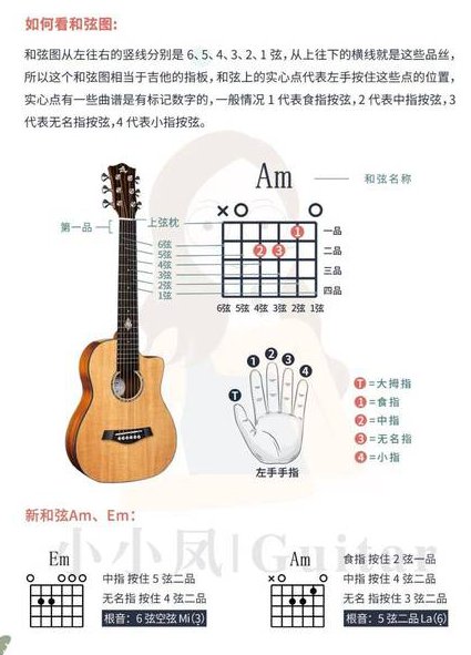 吉他弹唱初级入门篇配套视频 - 吉他教学