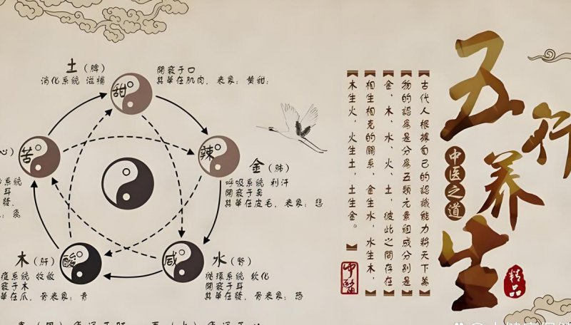 陈颂爻陈氏太极拳教学视频 - 太极养生