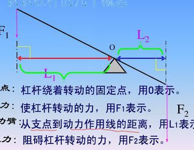 初二物理初中物理课程 - 杠杆原理