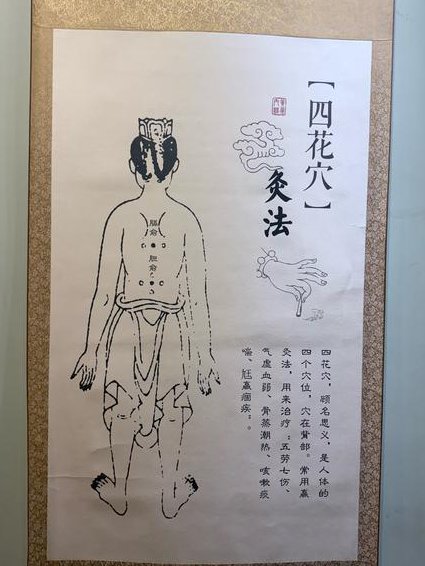 彭鑫中醫博士讲座全集 - 经络养生