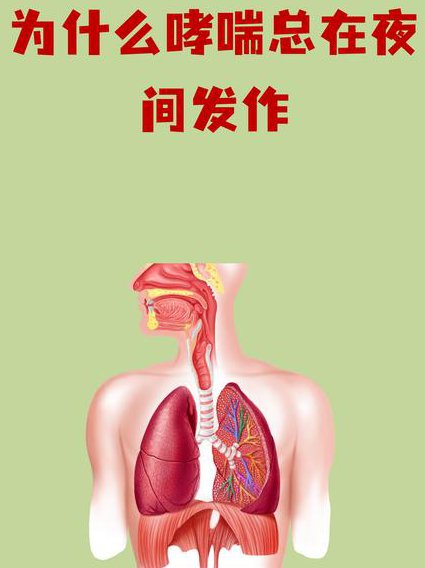 西综刘忠保生理学基础 - 生理机制