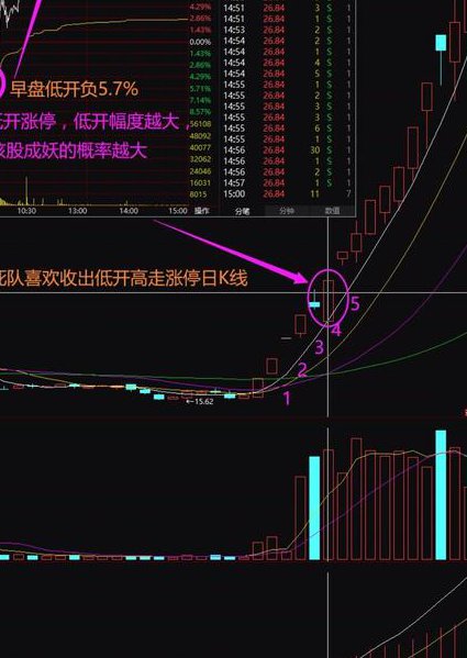 股票入门基础知识 股票技术分析 - 龙头股特征