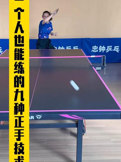 袁义兴乒乓球教学视频 - 乒乓球技术