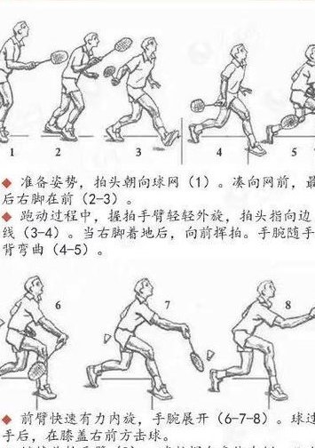 陈伟华羽毛球视频教全集 - 羽毛球步法